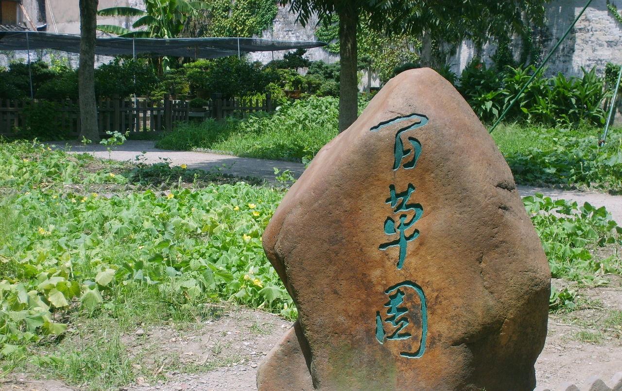 百草园(上海中医药大学的园地)