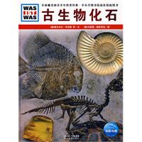 古生物化石 古生物化石