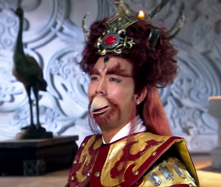 辛环 辛环