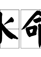 宁才