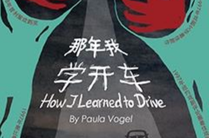 那年我学开车
