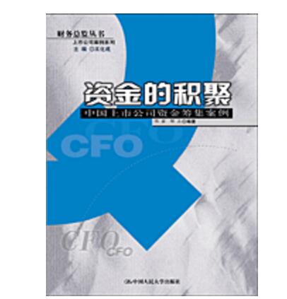 资金的积聚：中国上市公司资金筹集案例