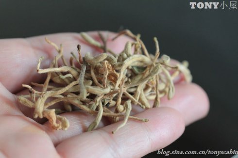 炖鸽子汤