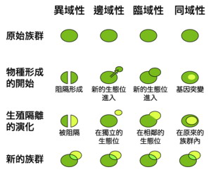 四种物种形成过程的比较图 四种物种形成过程的比较图