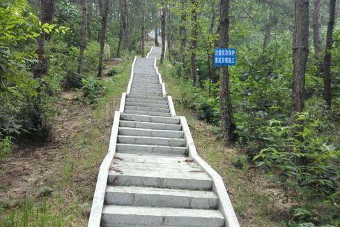 郭家河村(湖北省黄冈市罗田县骆驼坳镇郭家河村)