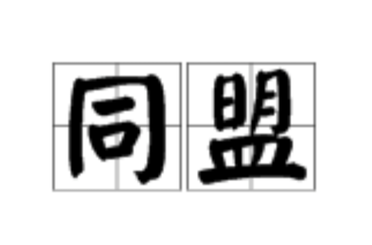 同盟(汉语词语)