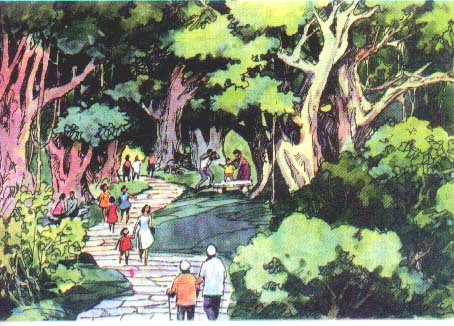《海滨小城》课文图 《海滨小城》课文图