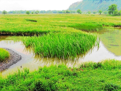 湖北丹江口库区湿地省级自然保护区 湖北丹江口库区湿地省级自然保护区