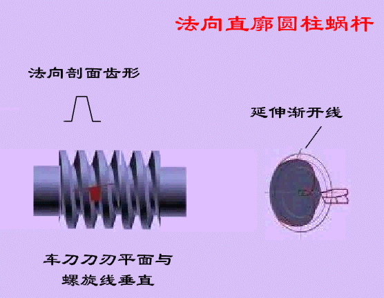 法向直廓蜗桿 法向直廓蜗桿