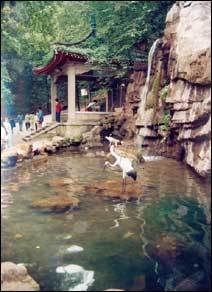 长沙旅游区 长沙旅游区