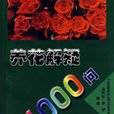 养花解疑1000问