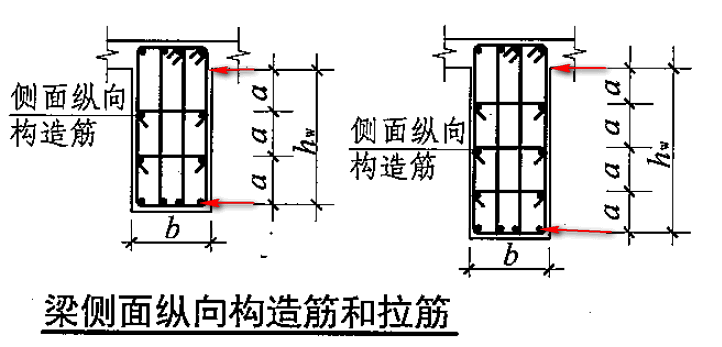 构造筋