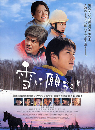 吹石一惠