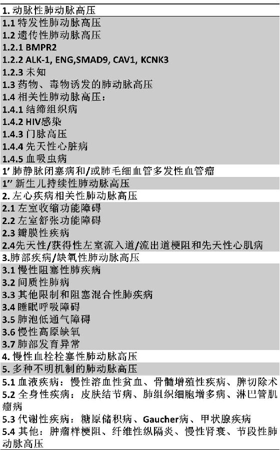 肺动脉高压 肺动脉高压