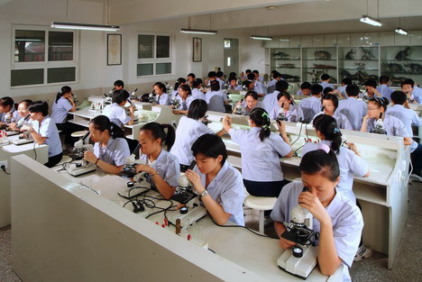 学生们正在专心做实验 学生们正在专心做实验