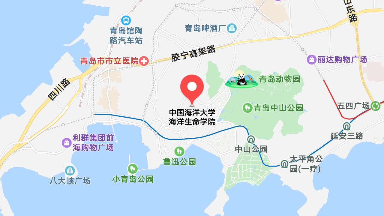 地图信息