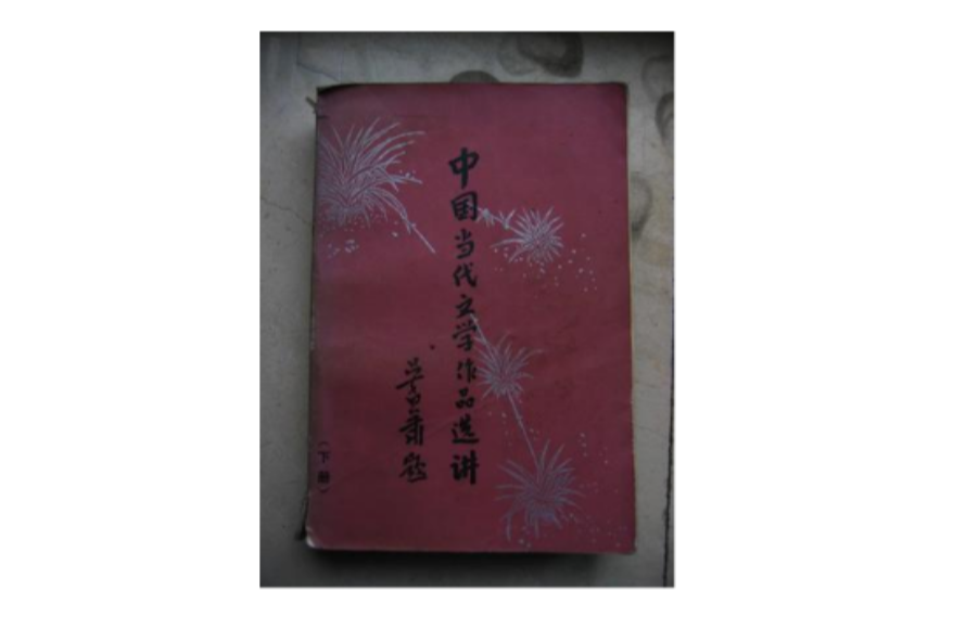中国当代文学作品选讲（下·小说部分）