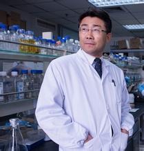 国科大存济医学院首任院长高福院士 国科大存济医学院首任院长高福院士