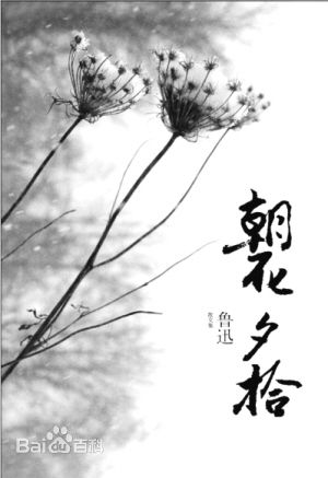 《朝花夕拾》后记