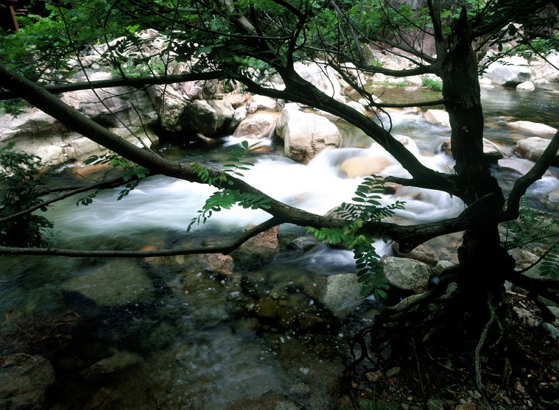 绩溪县 绩溪县