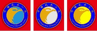 中国武术段位制 中国武术段位制