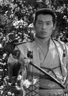 七武士(日本1954年黑泽明执导电影)
