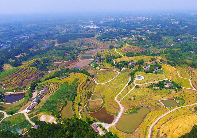 罗城镇(四川省乐山市犍为县下辖地区) 罗城镇(四川省乐山市犍为县下辖地区)
