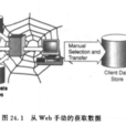 网路接口定义语言