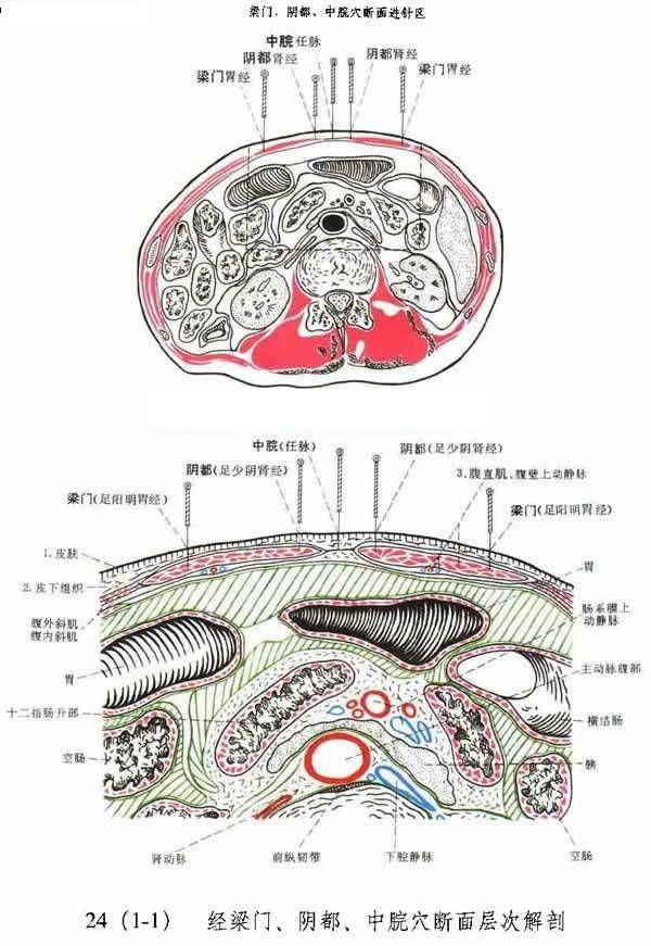 中脘穴破解 中脘穴破解