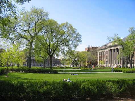 明尼苏达大学双城分校 明尼苏达大学双城分校