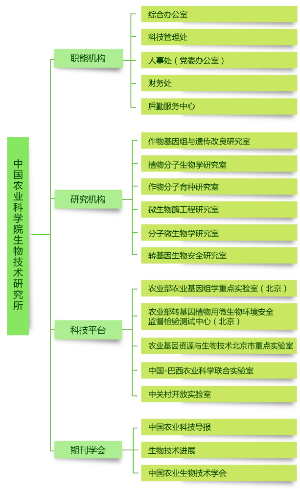 组织机构 组织机构