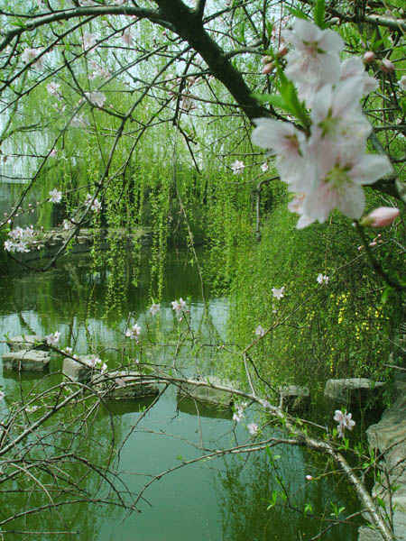 春晖湖 春晖湖