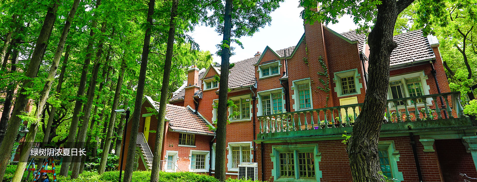 上海理工大学 上海理工大学