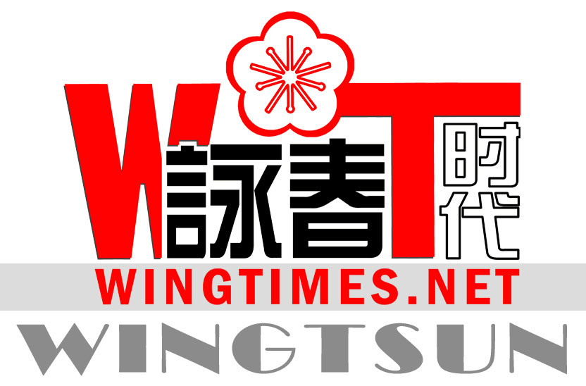 中国传统武术之一 中国传统武术之一