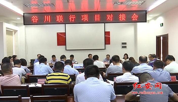 谷川联行有限公司来红安开展项目对接 谷川联行有限公司来红安开展项目对接