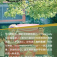 中国捷运杂誌