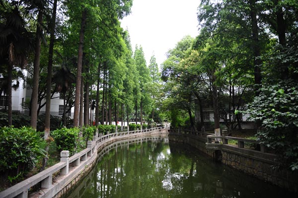 上海科专原址校景 上海科专原址校景