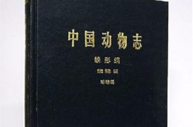 中国动物志蛛形纲蜘蛛目球蛛科