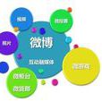 网路整合行销(企业和市场行为)