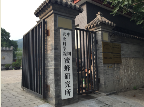 蜜蜂所美景 蜜蜂所美景