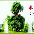 三峡大学学通社