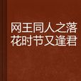 网王同人之落花时节又逢君