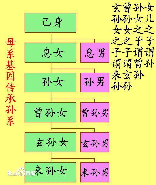 中国亲戚关係 中国亲戚关係