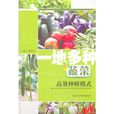 一地多种蔬菜高效种植模式