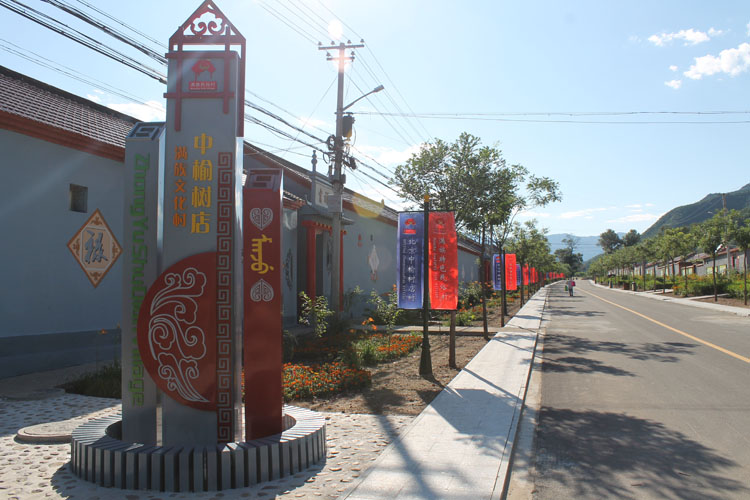 中榆树店村