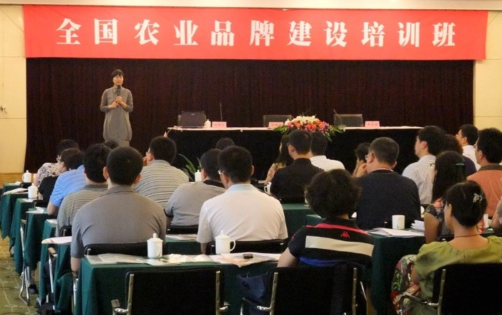 活动 活动