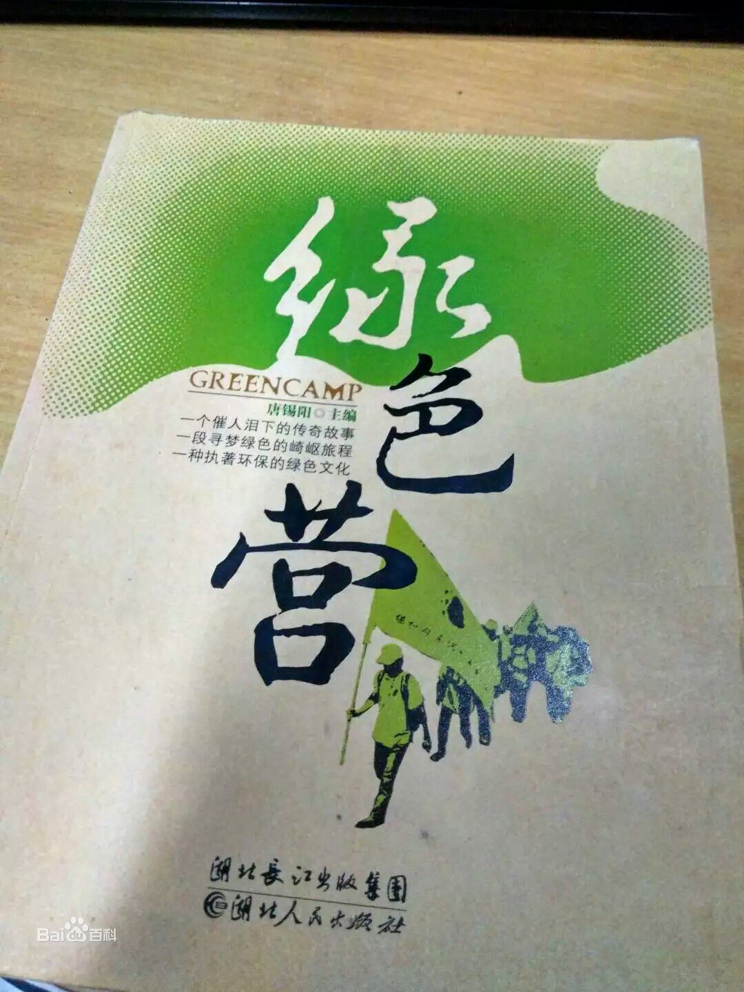 大学生绿色营宣传海报 大学生绿色营宣传海报