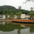 中岭村(四川省平昌县元山镇中岭村)