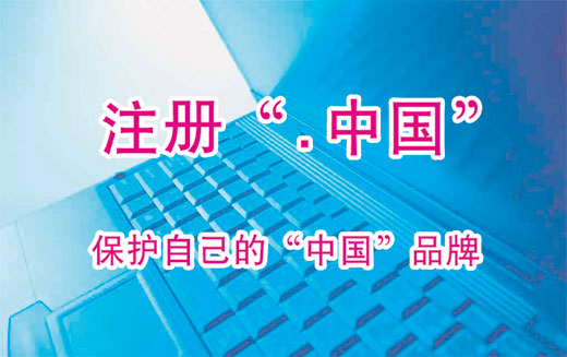 中文域名