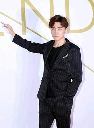 罗翔(中国内地影视男演员、流行乐歌手)